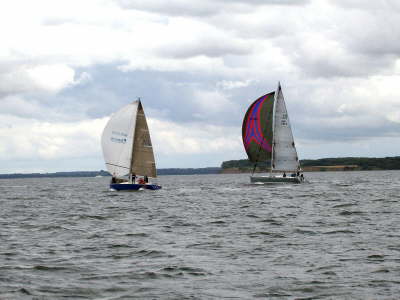 Havoc+ConteLouhi-Wf2