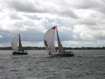 Havoc+Vineta-Schauerboe